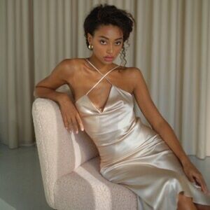 Serenity Cowl Neck Bias Cut Silk Slip Dress in Size Small NWT